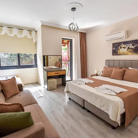 Mykonut Boutique 2* 费特希耶