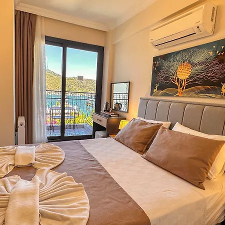 住宿加早餐酒店 Mykonut Boutique 2*