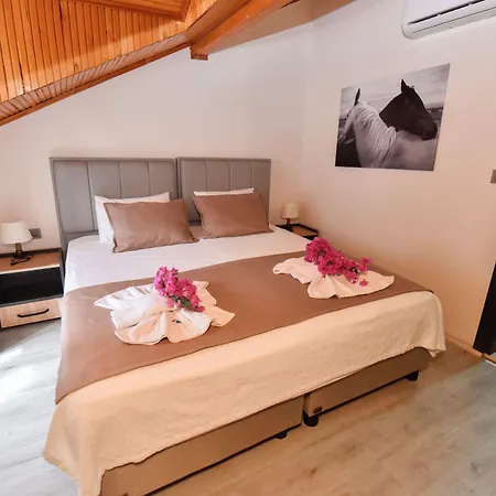 Oda ve Kahvaltı Mykonut Boutique 2*